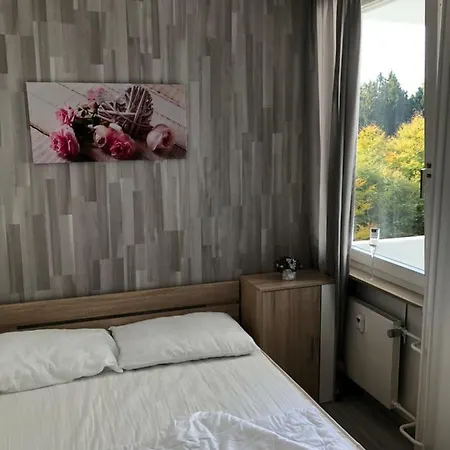 Apartment Ferienwohnung Haack