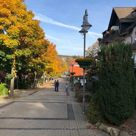 Apartment Ferienwohnung Haack Goslar